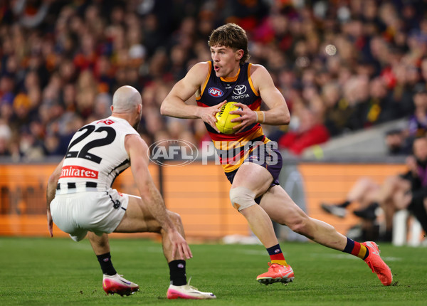 AFL 2025 First Qualifying Final - Adelaide v Collingwood - A-62229484