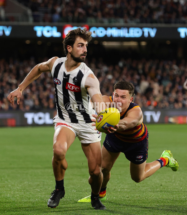 AFL 2025 First Qualifying Final - Adelaide v Collingwood - A-62229488