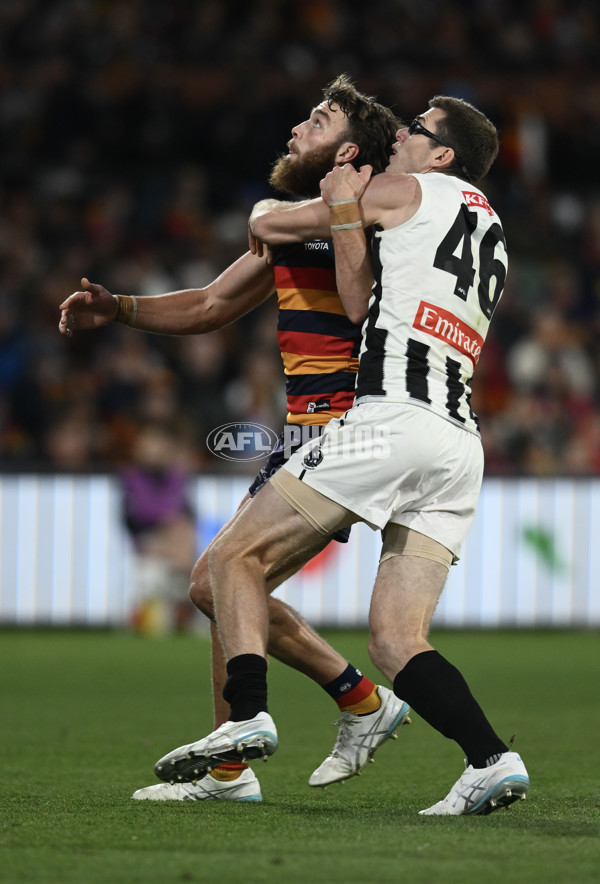 AFL 2025 First Qualifying Final - Adelaide v Collingwood - A-62229492