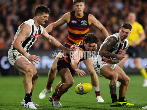 AFL 2025 First Qualifying Final - Adelaide v Collingwood - A-62229493