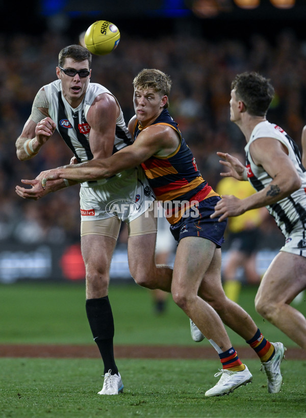 AFL 2025 First Qualifying Final - Adelaide v Collingwood - A-62229503