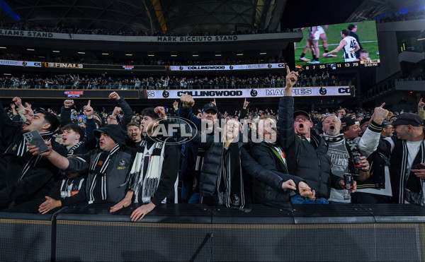 AFL 2025 First Qualifying Final - Adelaide v Collingwood - A-62229508