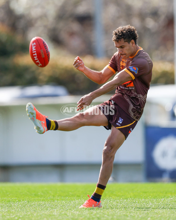 VFL 2025 Second Semi Final - Box Hill v Brisbane - A-62252125