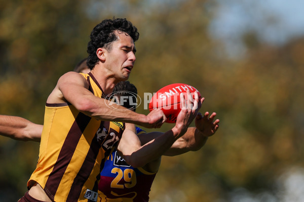 VFL 2025 Second Semi Final - Box Hill v Brisbane - A-62257315