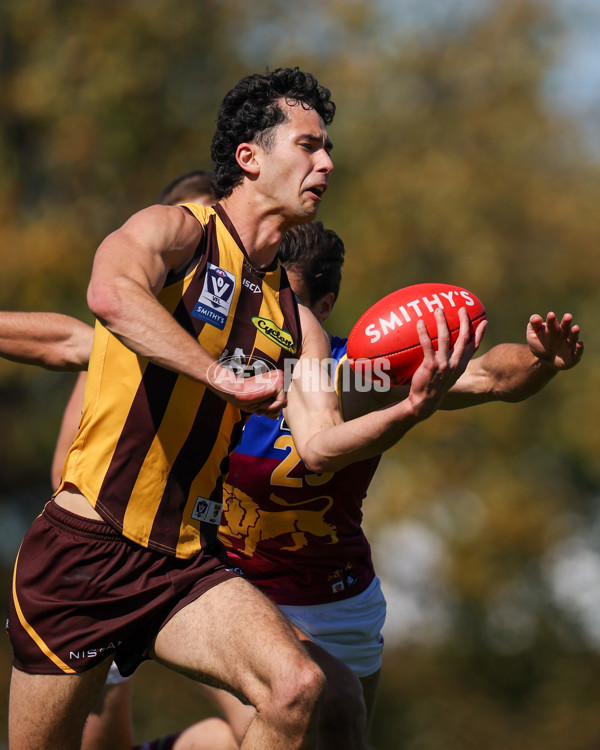 VFL 2025 Second Semi Final - Box Hill v Brisbane - A-62257317