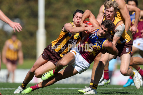 VFL 2025 Second Semi Final - Box Hill v Brisbane - A-62257513