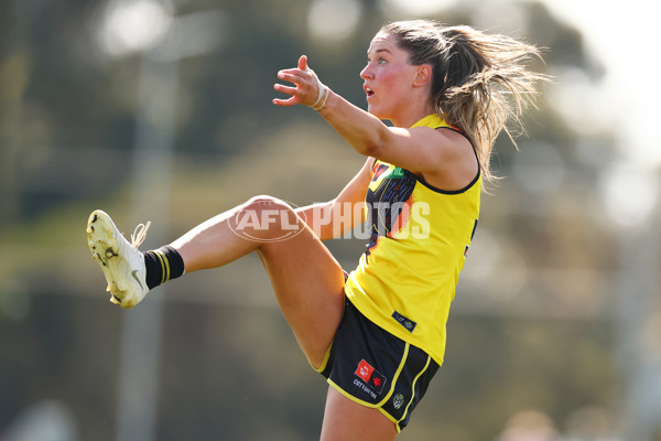 AFLW 2025 Round 04 - Narrm v Richmond - A-62257611