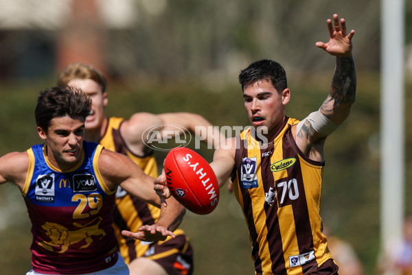 VFL 2025 Second Semi Final - Box Hill v Brisbane - A-62276258
