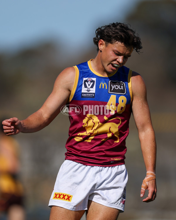 VFL 2025 Second Semi Final - Box Hill v Brisbane - A-62276260