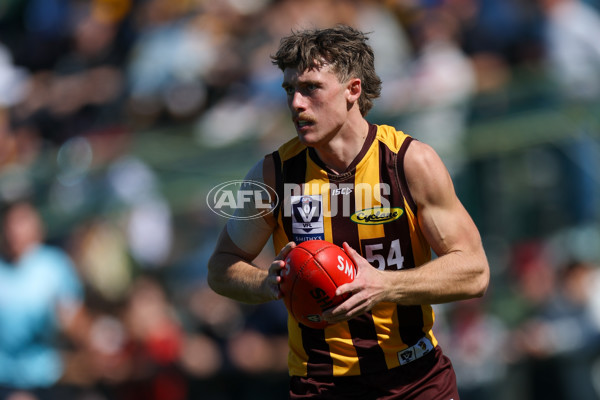 VFL 2025 Second Semi Final - Box Hill v Brisbane - A-62287355