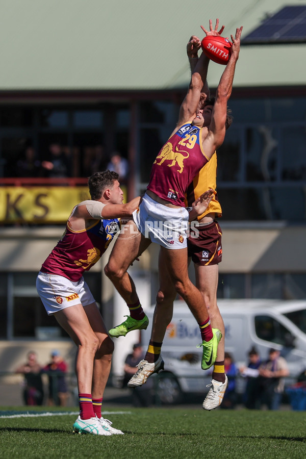 VFL 2025 Second Semi Final - Box Hill v Brisbane - A-62288526