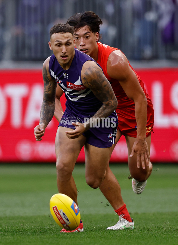 AFL 2025 Second Elimination Final - Fremantle v Gold Coast - A-62290197