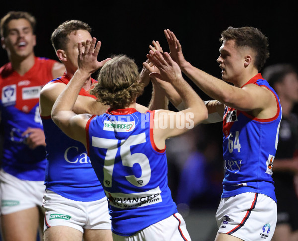 VFL 2025 First Semi Final - Frankston v Casey Demons - A-62291212