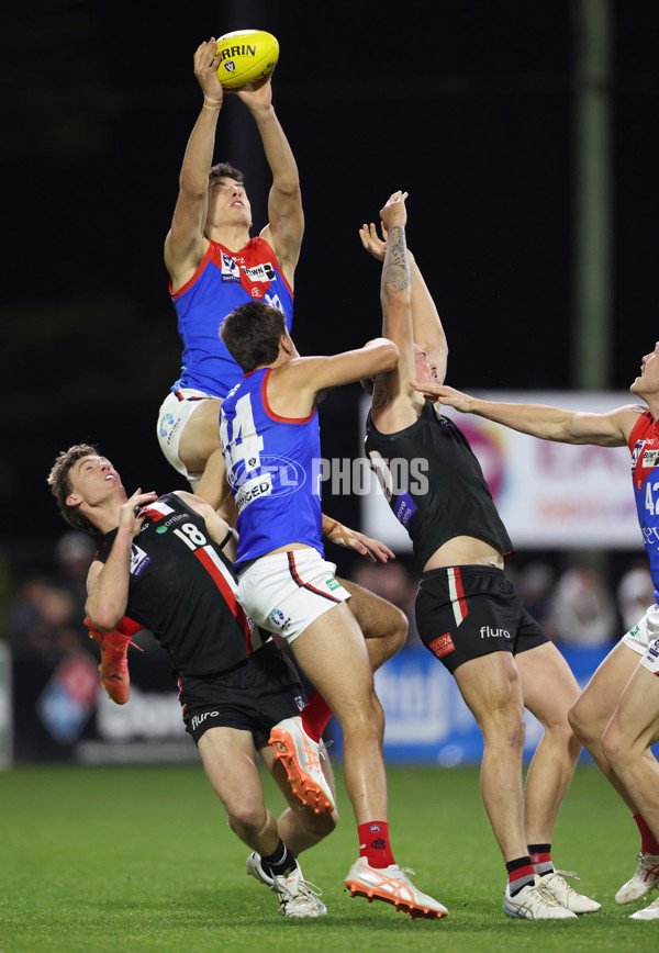 VFL 2025 First Semi Final - Frankston v Casey Demons - A-62295638