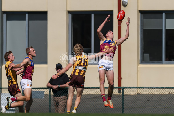 VFL 2025 Second Semi Final - Box Hill v Brisbane - A-62295654