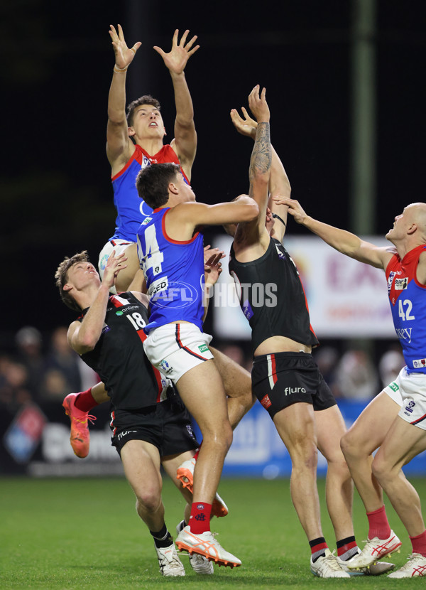 VFL 2025 First Semi Final - Frankston v Casey Demons - A-62296332