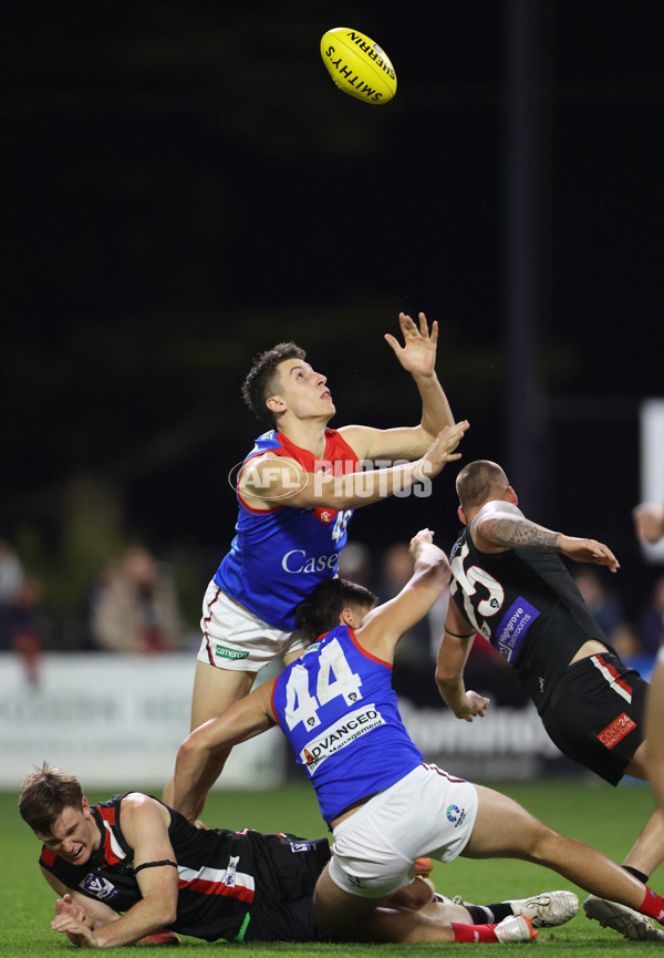 VFL 2025 First Semi Final - Frankston v Casey Demons - A-62296333