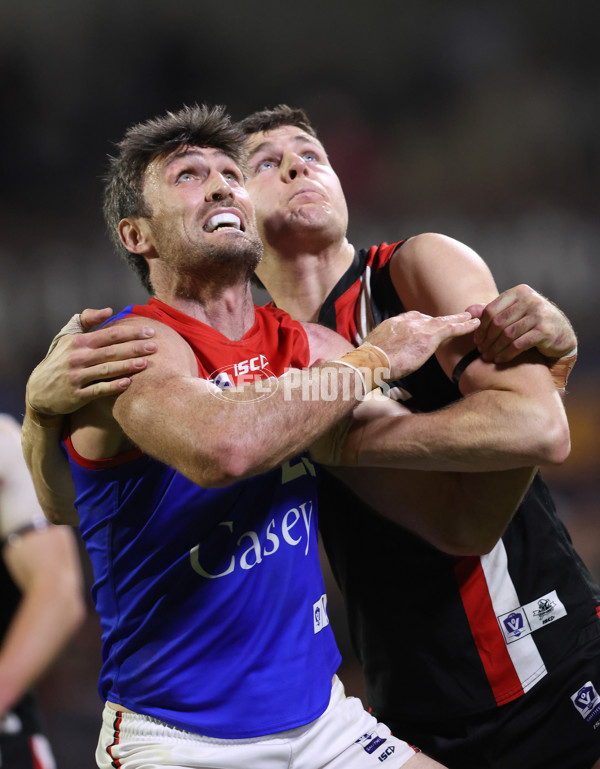 VFL 2025 First Semi Final - Frankston v Casey Demons - A-62301113