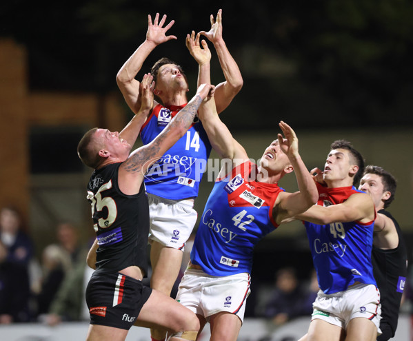 VFL 2025 First Semi Final - Frankston v Casey Demons - A-62301209