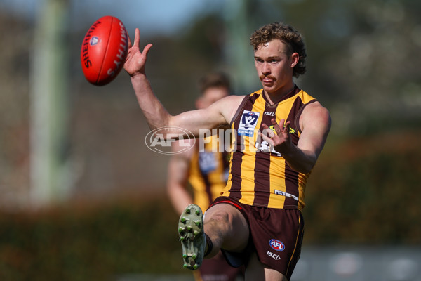 VFL 2025 Second Semi Final - Box Hill v Brisbane - A-62309135