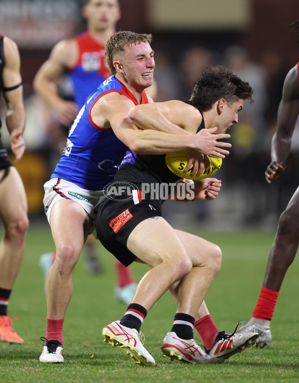 VFL 2025 First Semi Final - Frankston v Casey Demons - A-62313914