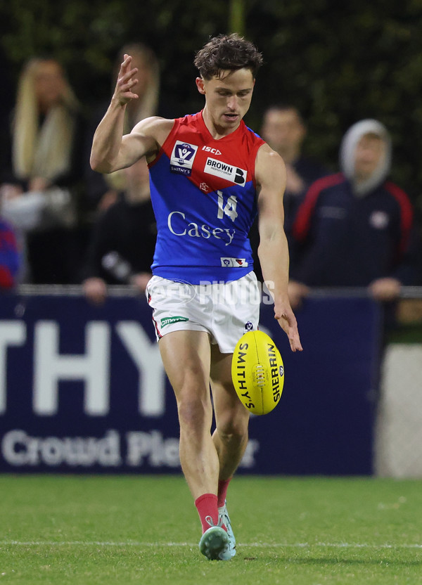 VFL 2025 First Semi Final - Frankston v Casey Demons - A-62313923