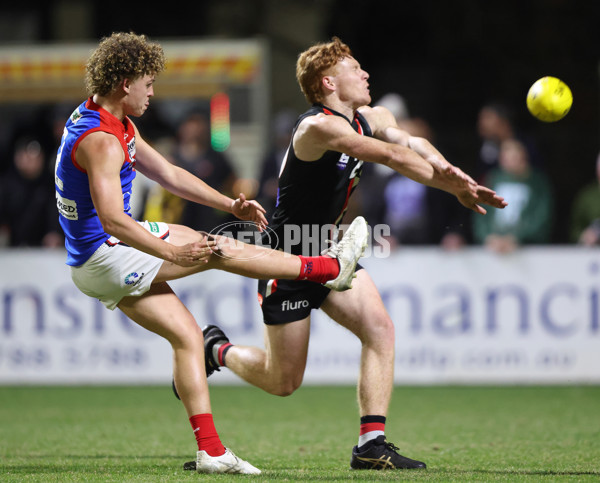 VFL 2025 First Semi Final - Frankston v Casey Demons - A-62313944