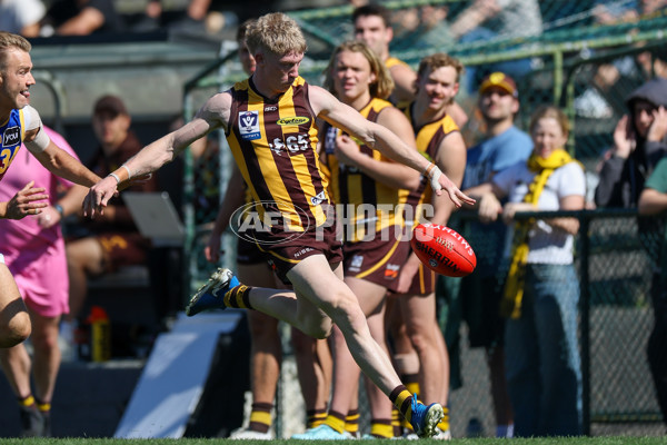 VFL 2025 Second Semi Final - Box Hill v Brisbane - A-62314195
