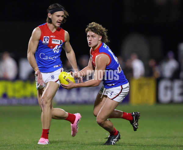 VFL 2025 First Semi Final - Frankston v Casey Demons - A-62314204