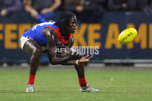 VFL 2025 First Semi Final - Frankston v Casey Demons - A-62314220