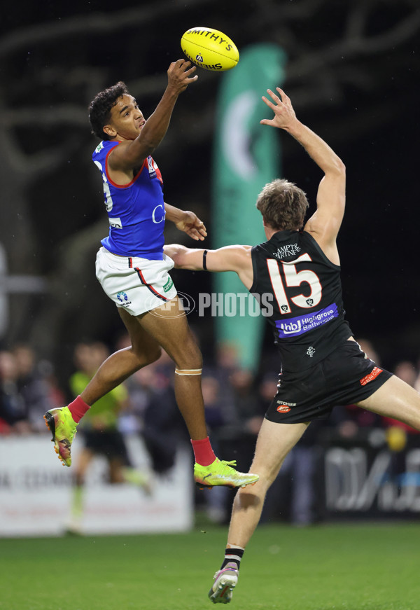 VFL 2025 First Semi Final - Frankston v Casey Demons - A-62316510