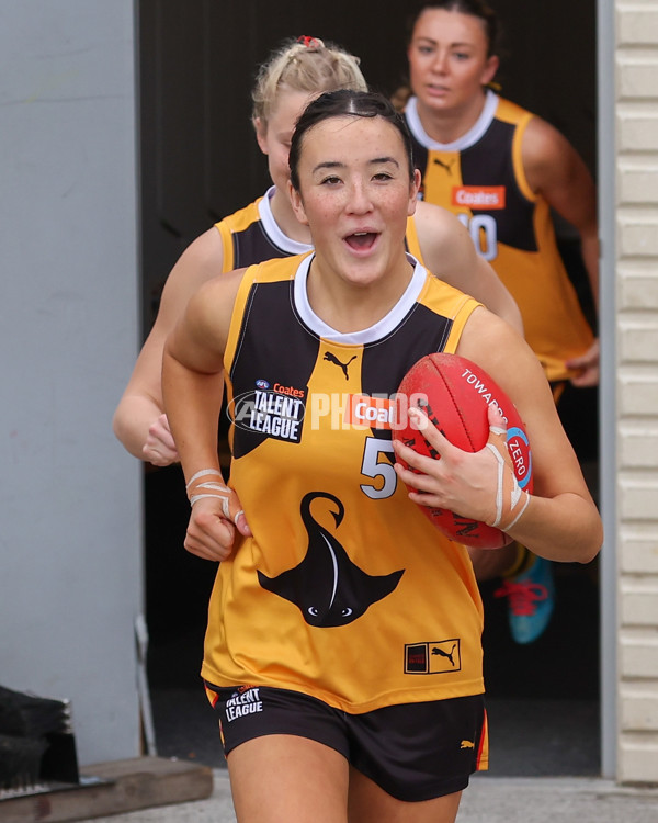 Coates League Girls 2025 Preliminary Final - Dandenong Stingrays v Oakleigh Chargers - A-62319030
