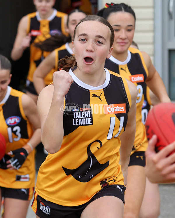 Coates League Girls 2025 Preliminary Final - Dandenong Stingrays v Oakleigh Chargers - A-62319031