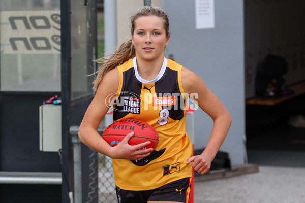 Coates League Girls 2025 Preliminary Final - Dandenong Stingrays v Oakleigh Chargers - A-62319034
