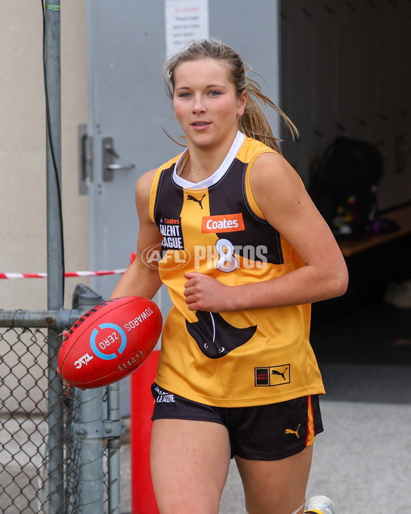 Coates League Girls 2025 Preliminary Final - Dandenong Stingrays v Oakleigh Chargers - A-62319035