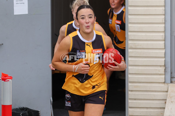 Coates League Girls 2025 Preliminary Final - Dandenong Stingrays v Oakleigh Chargers - A-62319036