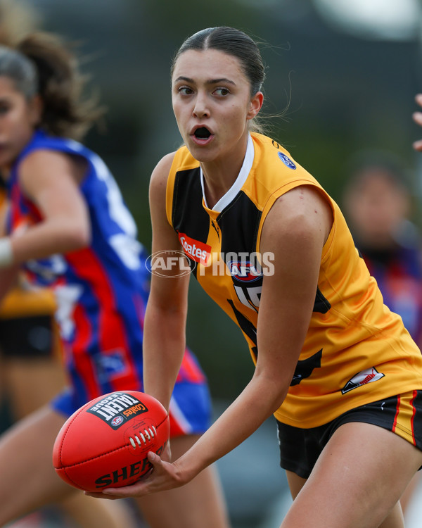 Coates League Girls 2025 Preliminary Final - Dandenong Stingrays v Oakleigh Chargers - A-62319058