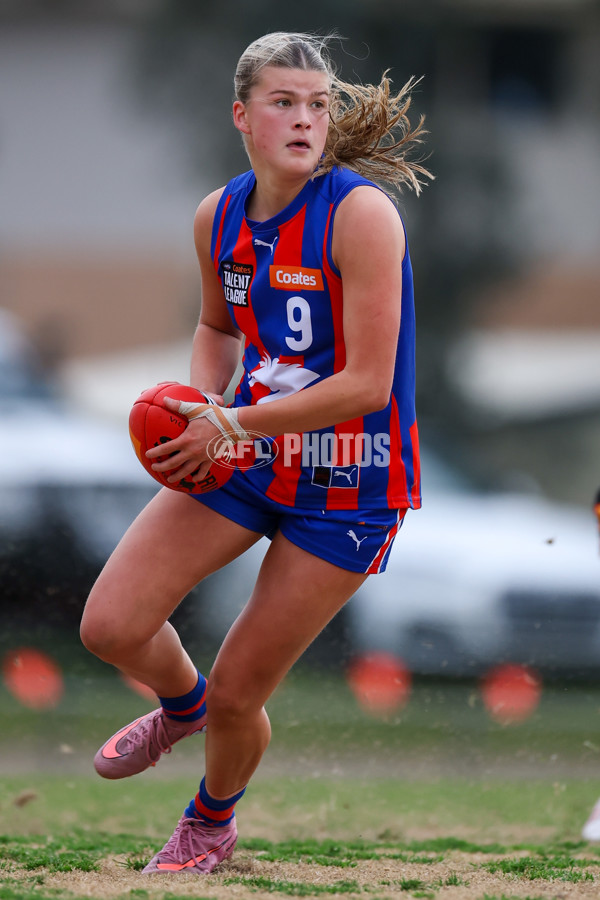 Coates League Girls 2025 Preliminary Final - Dandenong Stingrays v Oakleigh Chargers - A-62319066