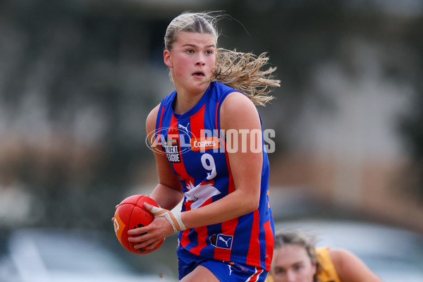 Coates League Girls 2025 Preliminary Final - Dandenong Stingrays v Oakleigh Chargers - A-62319067