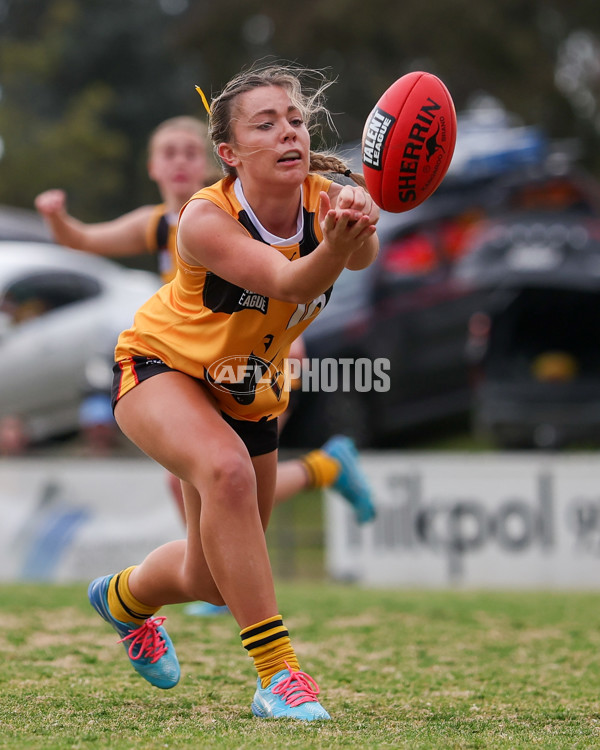 Coates League Girls 2025 Preliminary Final - Dandenong Stingrays v Oakleigh Chargers - A-62319074