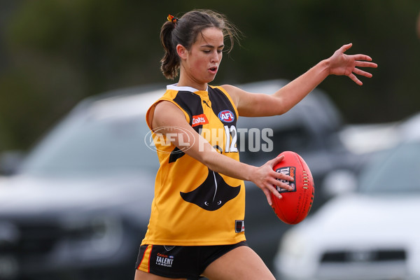 Coates League Girls 2025 Preliminary Final - Dandenong Stingrays v Oakleigh Chargers - A-62319092
