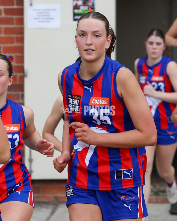 Coates League Girls 2025 Preliminary Final - Dandenong Stingrays v Oakleigh Chargers - A-62319733