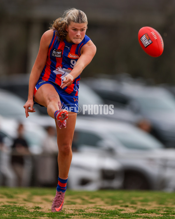 Coates League Girls 2025 Preliminary Final - Dandenong Stingrays v Oakleigh Chargers - A-62319736