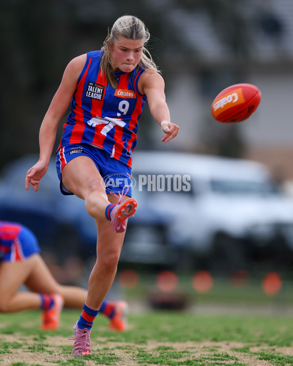 Coates League Girls 2025 Preliminary Final - Dandenong Stingrays v Oakleigh Chargers - A-62319742