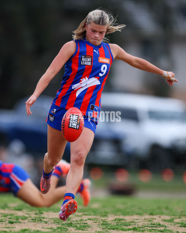 Coates League Girls 2025 Preliminary Final - Dandenong Stingrays v Oakleigh Chargers - A-62319744