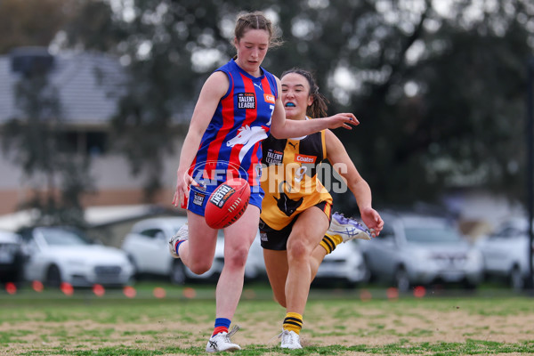 Coates League Girls 2025 Preliminary Final - Dandenong Stingrays v Oakleigh Chargers - A-62319748