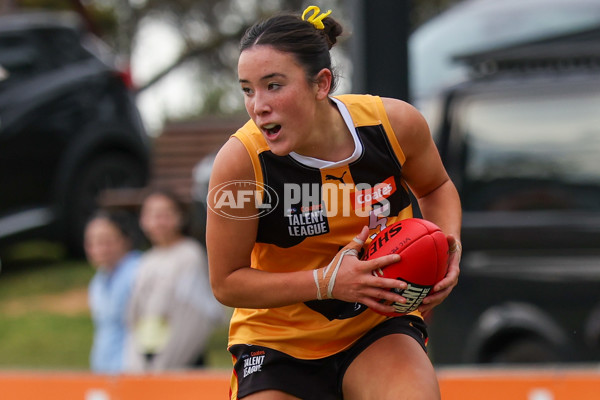 Coates League Girls 2025 Preliminary Final - Dandenong Stingrays v Oakleigh Chargers - A-62319749