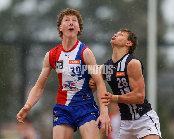Coates League Boys 2025 Quarter Final - Gippsland Power v Geelong Falcons - A-62322538