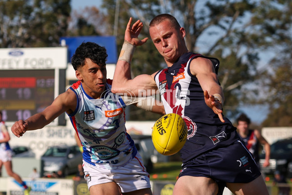 Coates League Boys 2025 Quarter Final - Sandringham Dragons v Oakleigh Chargers - A-62346216
