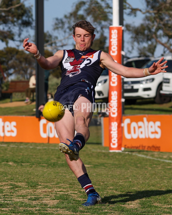 Coates League Boys 2025 Quarter Final - Sandringham Dragons v Oakleigh Chargers - A-62346240
